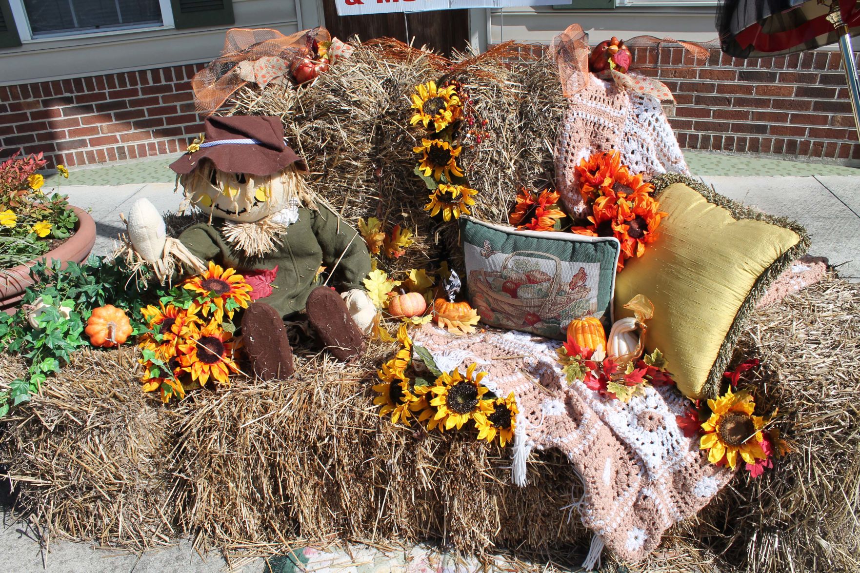 fall display.jpg